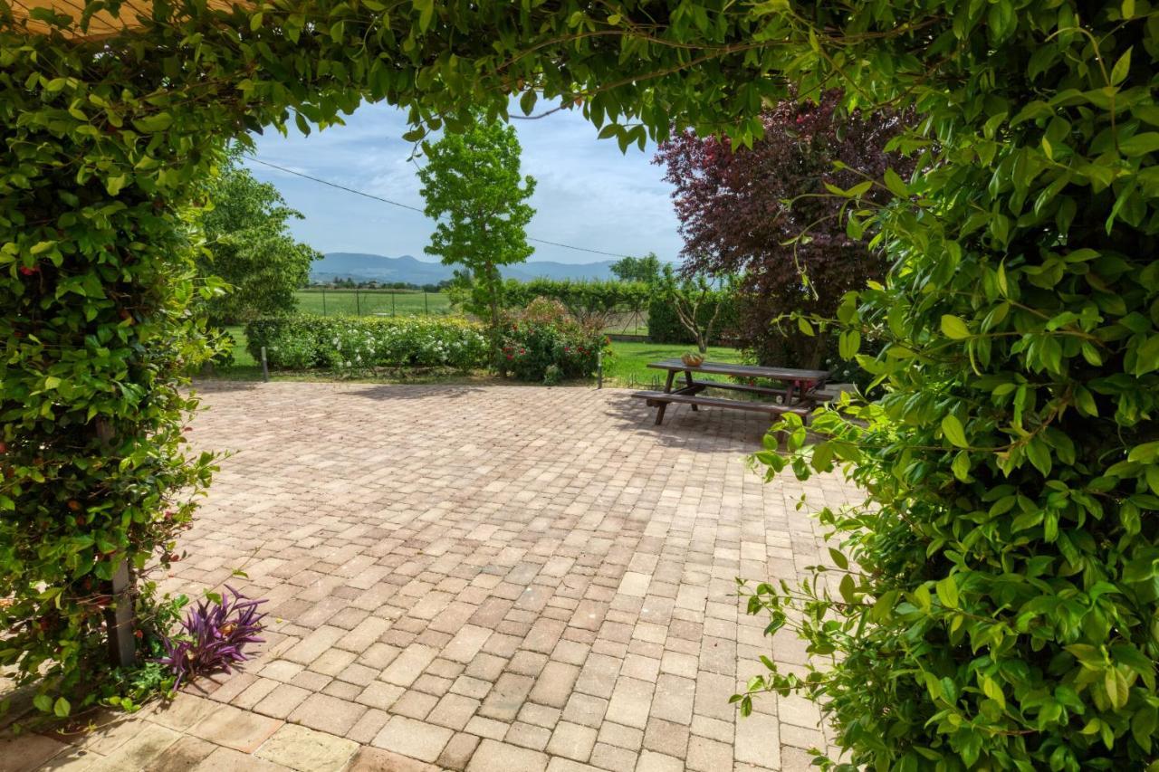 Agriturismo Il Barco Spello Bagian luar foto