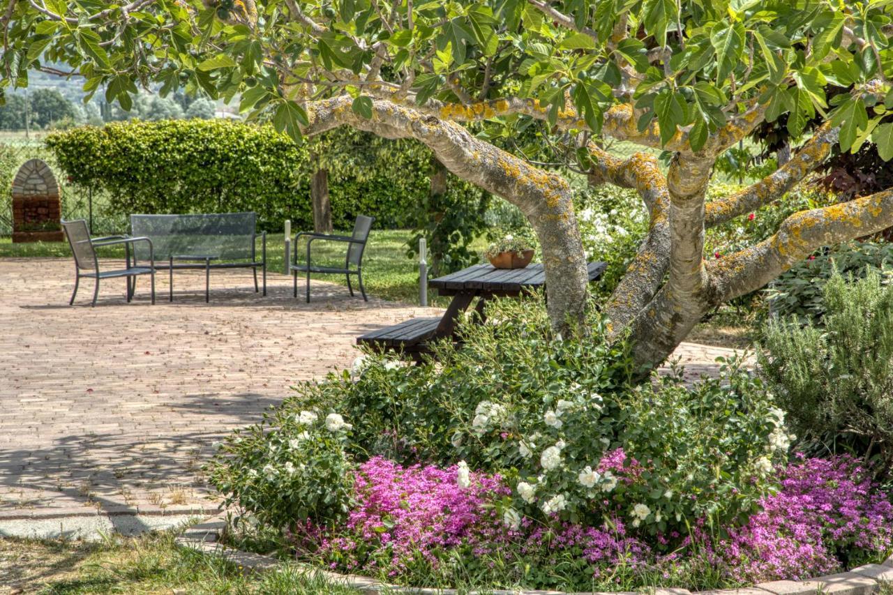 Agriturismo Il Barco Spello Bagian luar foto