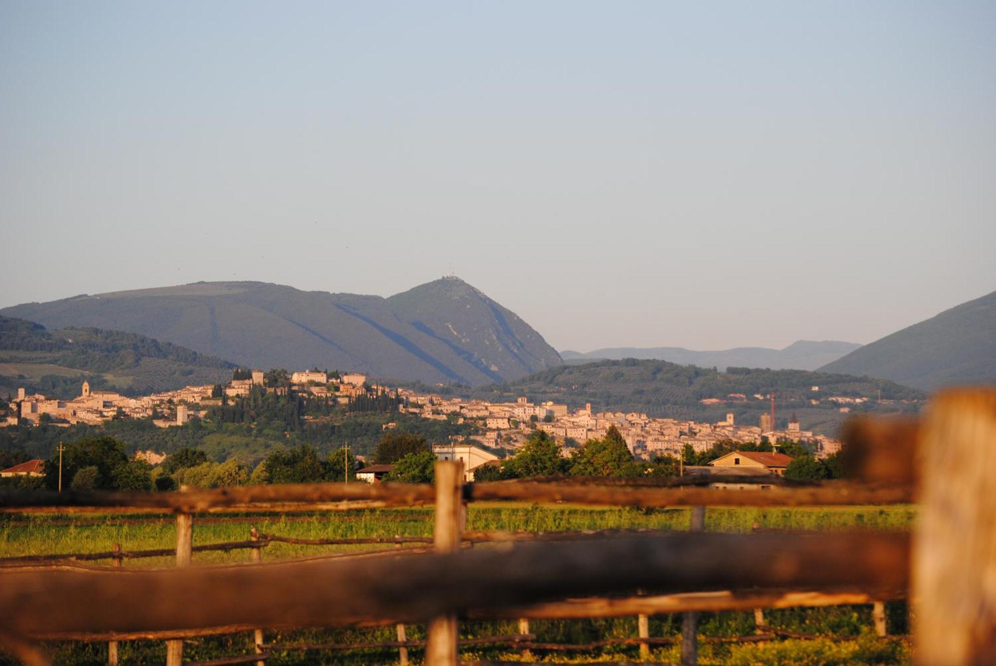 Agriturismo Il Barco Spello Bagian luar foto