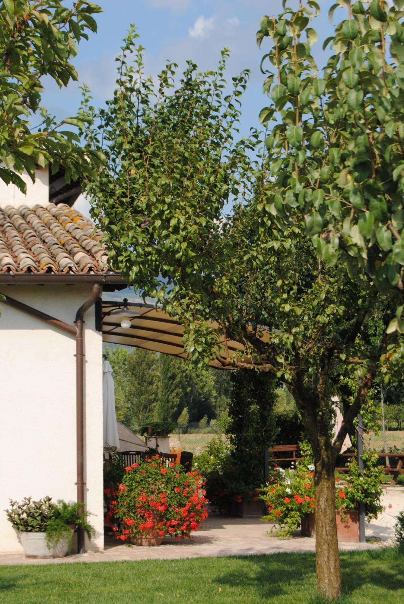 Agriturismo Il Barco Spello Bagian luar foto