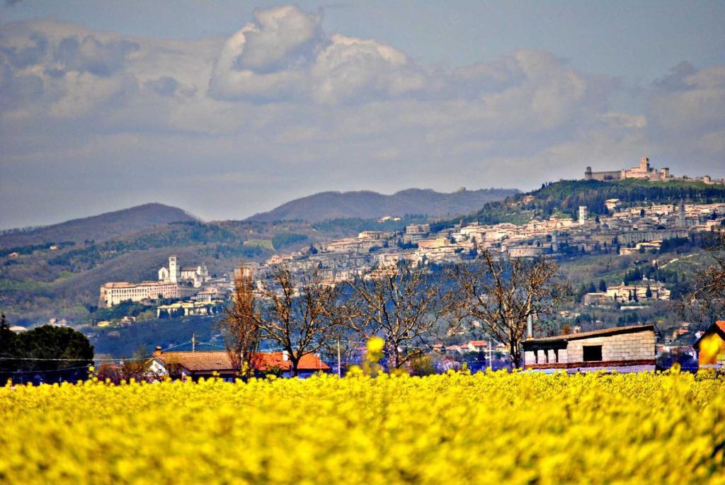 Agriturismo Il Barco Spello Bagian luar foto